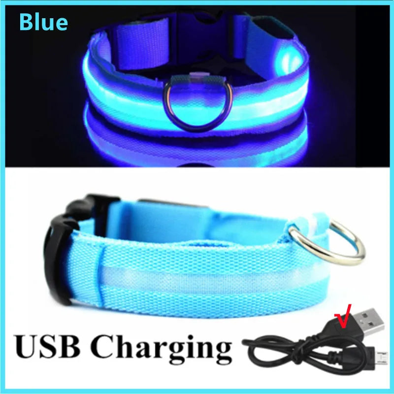 Paw Light USB LED Collar