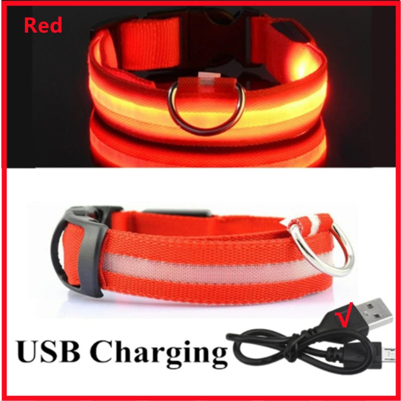 Paw Light USB LED Collar