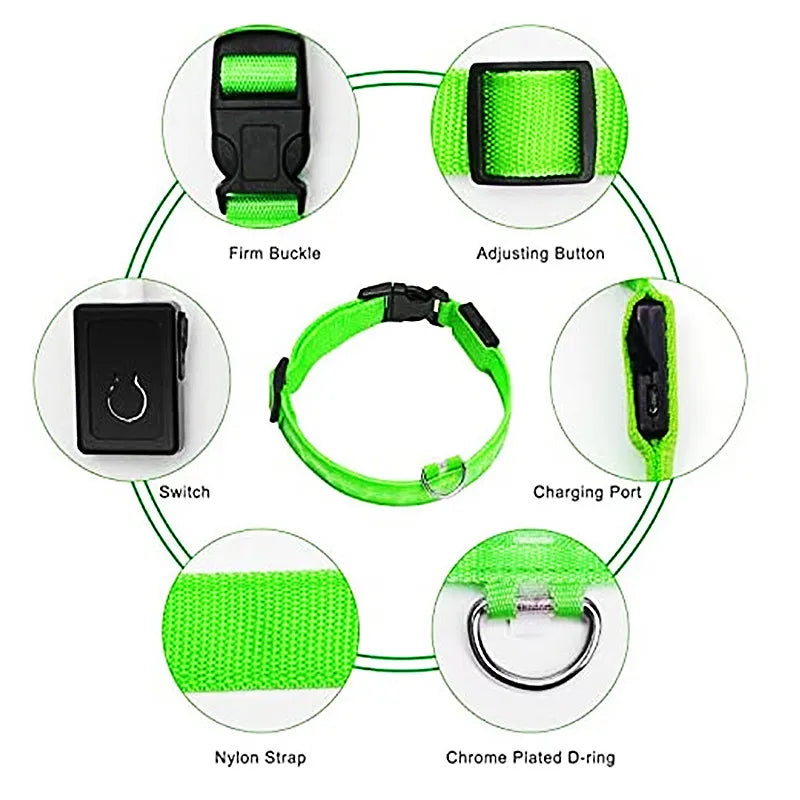 Paw Light USB LED Collar