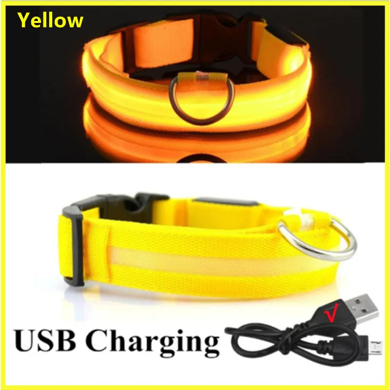 Paw Light USB LED Collar
