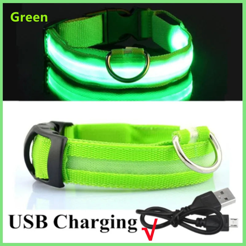 Paw Light USB LED Collar