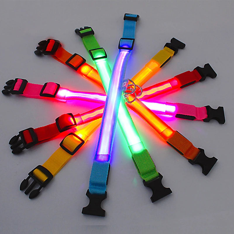 Paw Light USB LED Collar