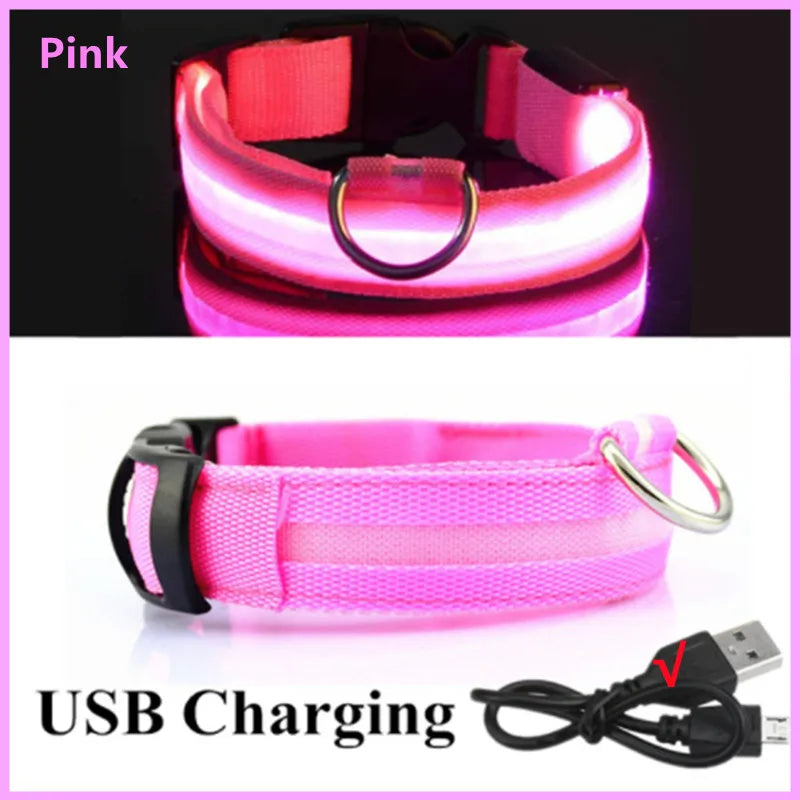 Paw Light USB LED Collar