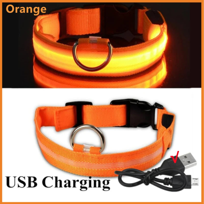 Paw Light USB LED Collar