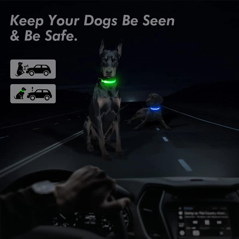 Paw Light USB LED Collar